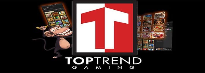 ความเป็นมาของ TopTrend Gaming